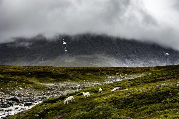 Où participer à des ateliers de sculpture sur bois en Indonésie : techniques et artisans recommandés ?