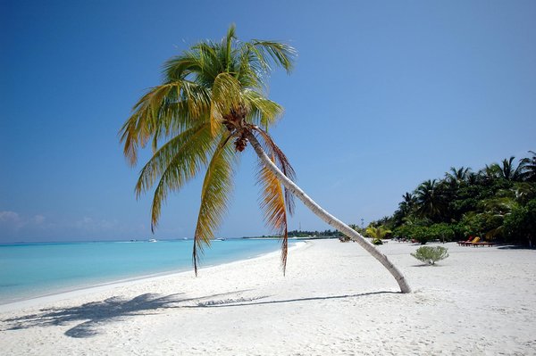 Location voiture : les meilleures options pour vos vacances