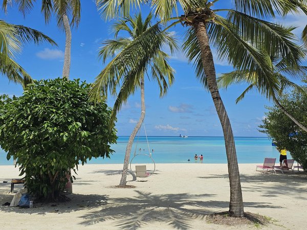 Quels conseils pour trouver une maison de vacances en Dordogne avec des cours de cuisine et des visites de châteaux?