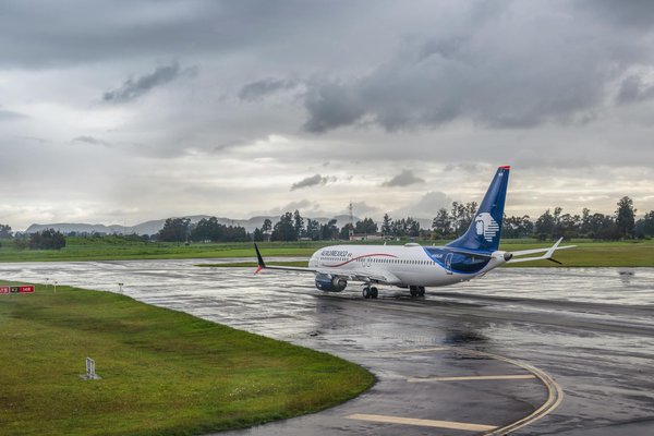 Quels sont les conseils pour camper en toute sécurité dans des zones de forêt de feuillus?