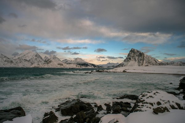 Quelles croisières offrent des séminaires sur l'évolution des récifs coralliens avec des experts marins?